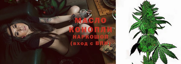 apvp Ельня