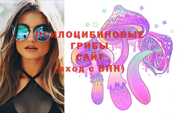 apvp Ельня
