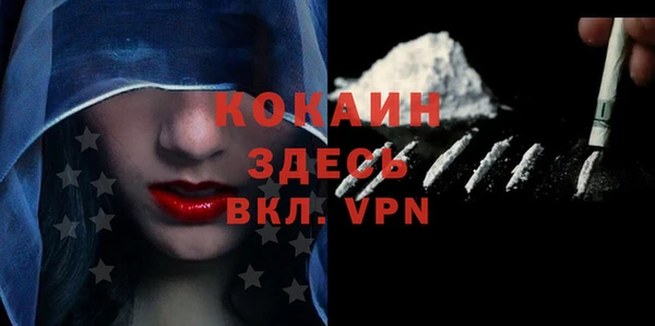 apvp Ельня