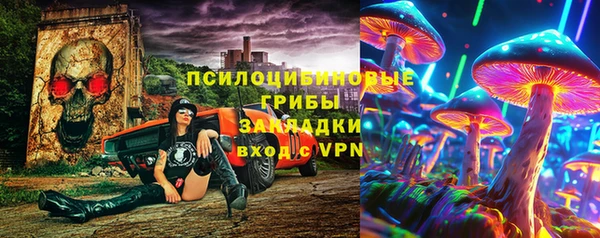 apvp Ельня