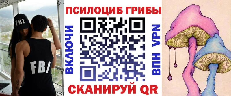 Галлюциногенные грибы Psilocybe  купить закладку  Иннополис 
